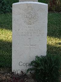 Salonika (Lembet Road) Military Cemetery - Watkins, Thomas Victor Wilmott